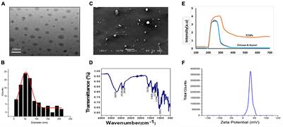 Evaluating the Antibacterial Activity and Mode of Action of Thymol-Loaded Chitosan Nanoparticles Against Plant Bacterial Pathogen Xanthomonas campestris pv. campestris